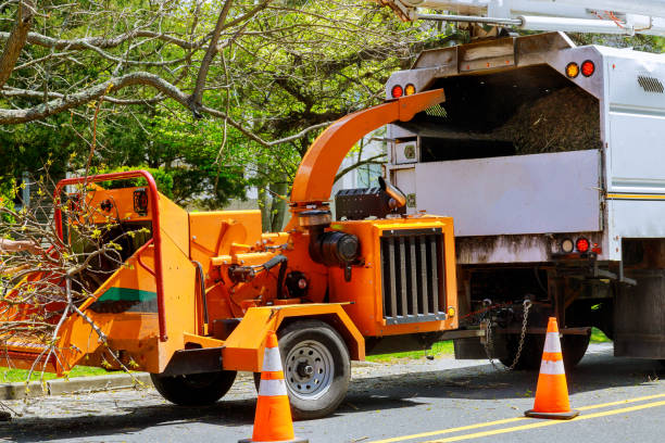 Best Fruit Tree Pruning  in Cobden, IL